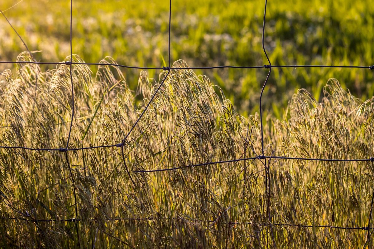 Lumière traversant l'obscurité, symbole de liberté